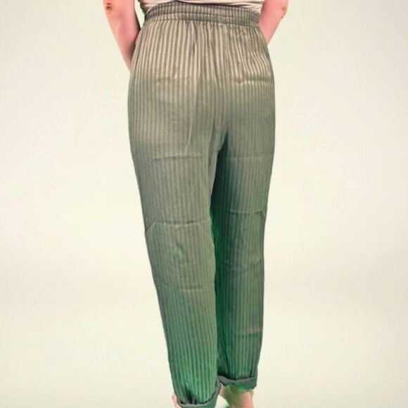 CLEARANCE! Green Weathervane Cropped Pants Junior’s 3 EUC - Picture 4 of 6